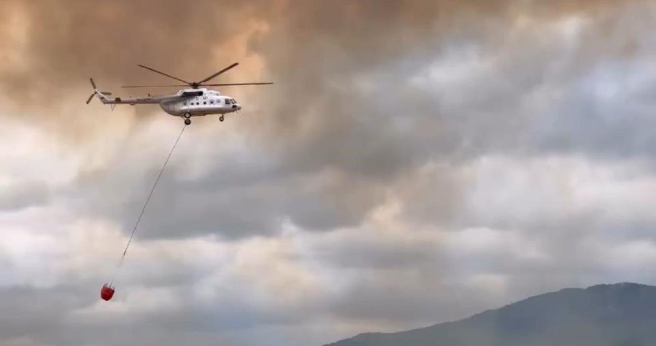 Başkan Özel, yangından etkilenen kaplumbağaya suyla müdahale etti