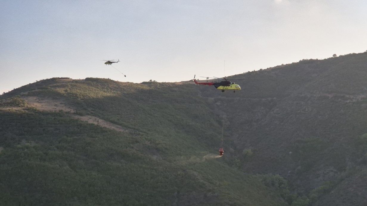 Tekirdağ’da orman yangınına müdahale sürüyor