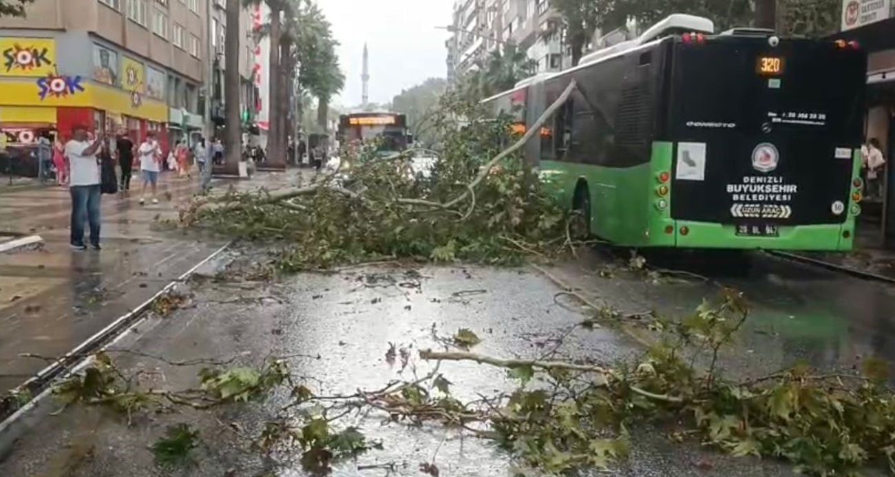 Korku dolu anlar yaşandı!