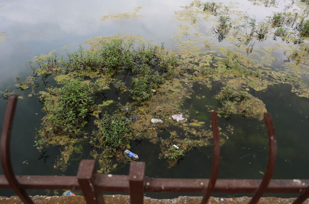 Seyhan Nehri yosun akınına uğradı, çöplerle doldu