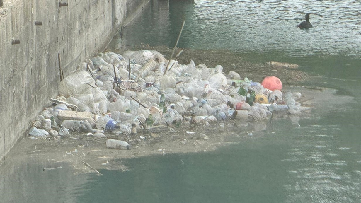 Seyhan Nehri yosun akınına uğradı, çöplerle doldu