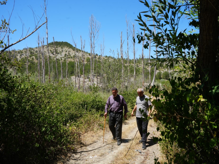 Ağaçlara adanmış ömür: 32 senede binlerce fidan dikti