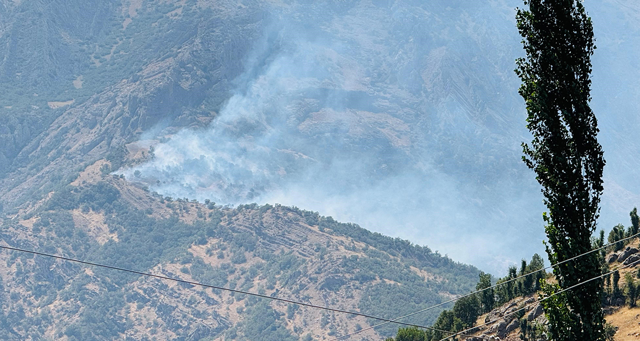 Şırnak’ta orman yangını: Alevler kontrol altına alınamıyor