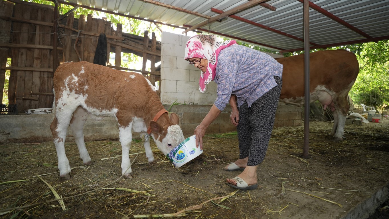 74 yaşından sonra fenomen oldu