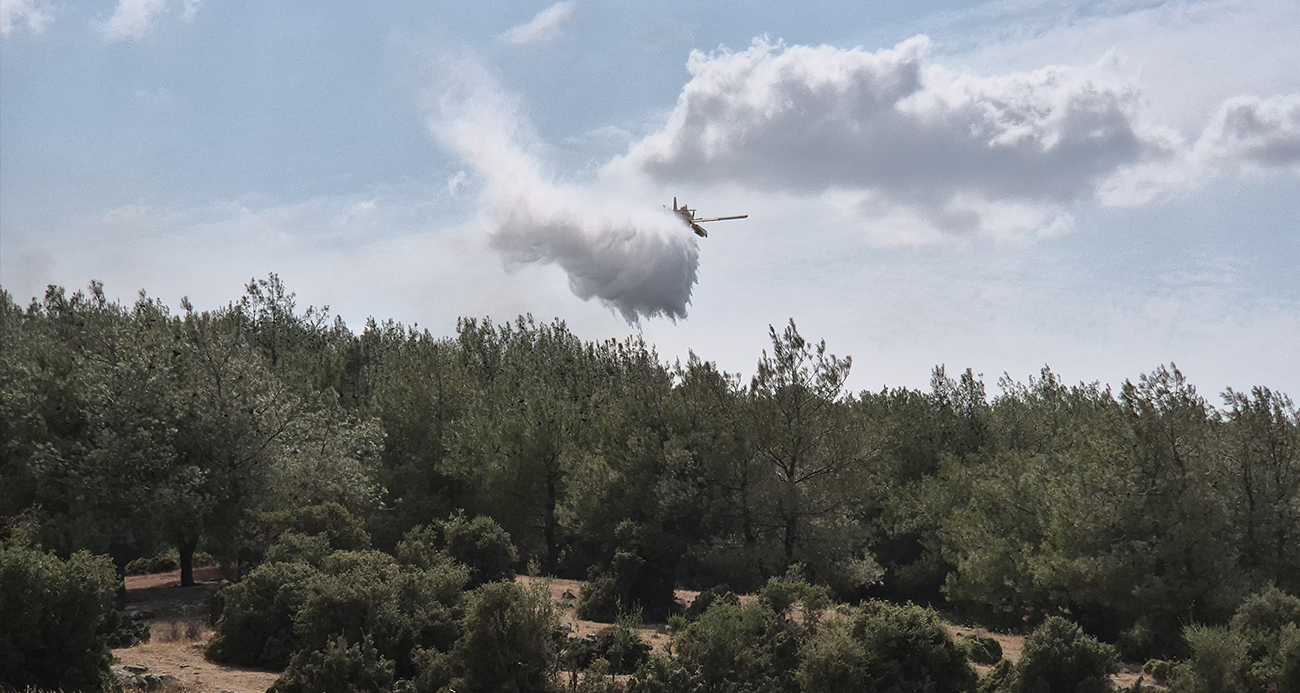 Edirne’de çıkan yangın ormanlık alana sıçradı