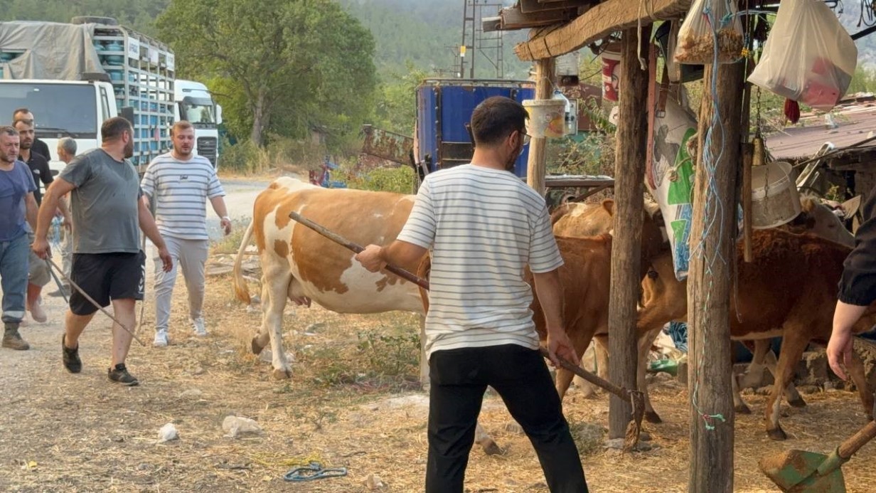 Karabük’teki orman yangınına müdahale sürüyor: 80 haneli köy tahliye edildi
