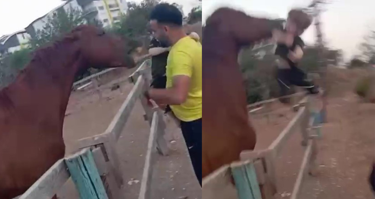 Attan beklenmedik hareket: Babasının kucağındaki çocuğu ısırarak alıp havaya fırlattı