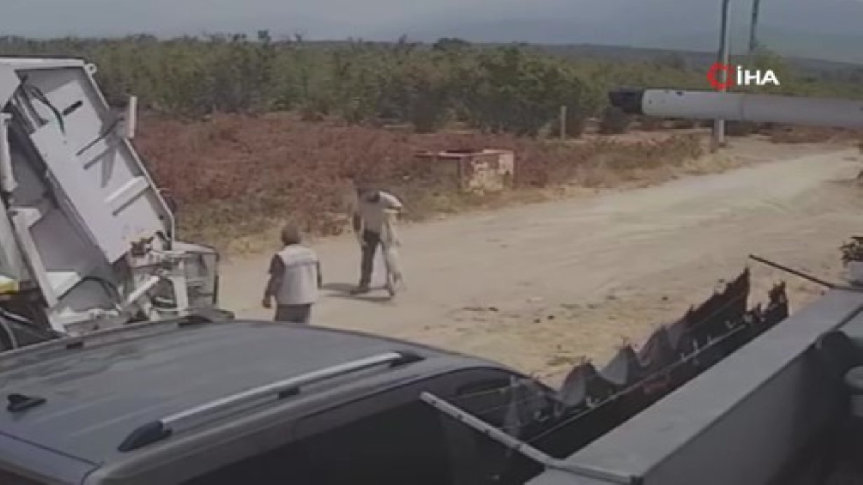 Oyun oynarken yola fırlayan iki köpek çöp kamyonunun altında kaldı
