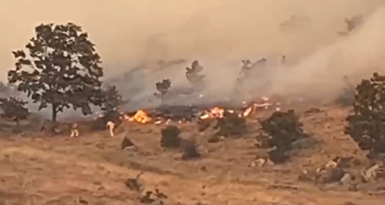 Aksaray’da ağaçlık alanda yangın