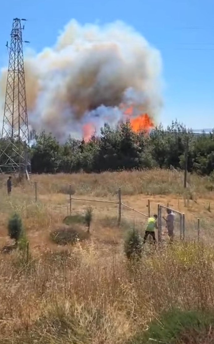 Çanakkale’de tarım arazisinde başlayan yangın ormanlık alana sıçradı