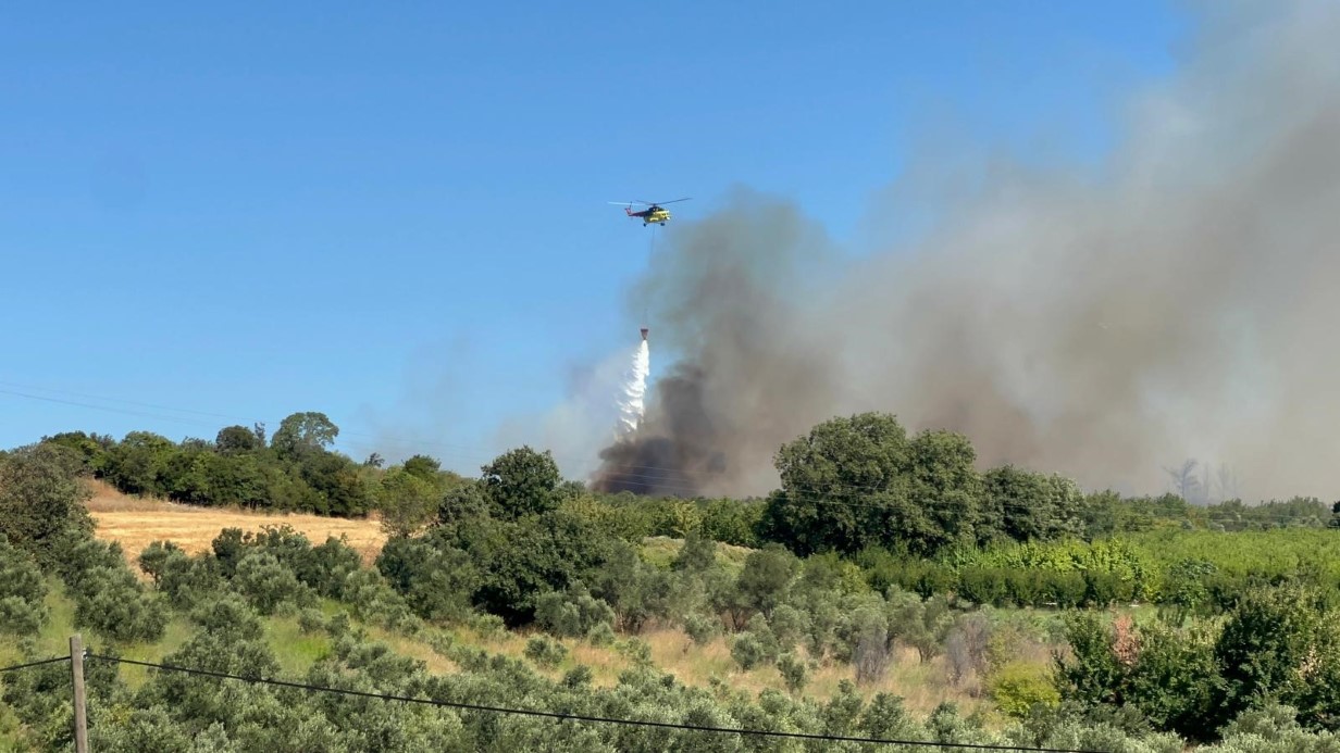 Çanakkale’de tarım arazisinde başlayan yangın ormanlık alana sıçradı