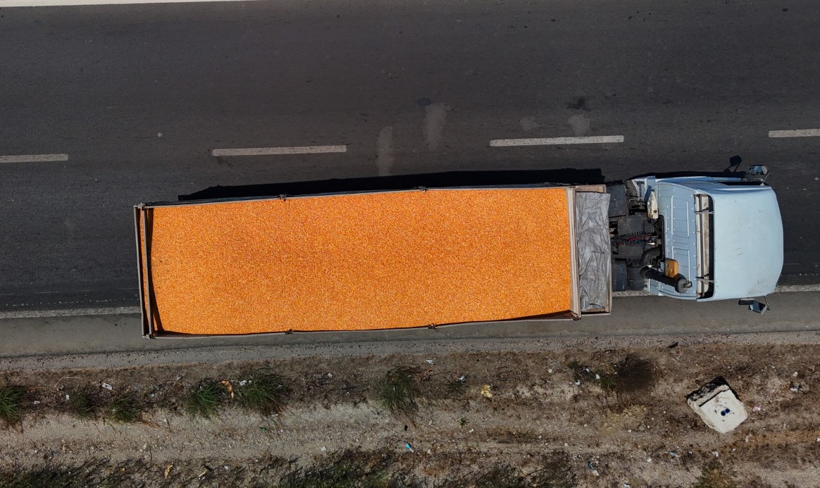 Çukurova’da mısır hasadı başladı: 1,5  milyon ton mısır rekolte bekleniyor