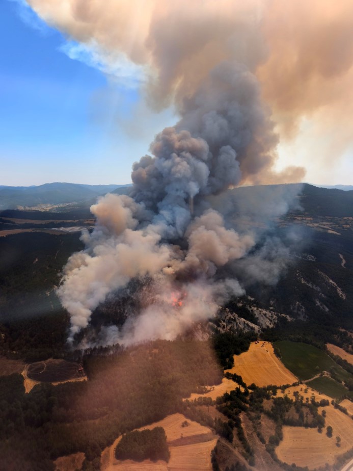 Bolu’daki orman yangınına müdahale sürüyor