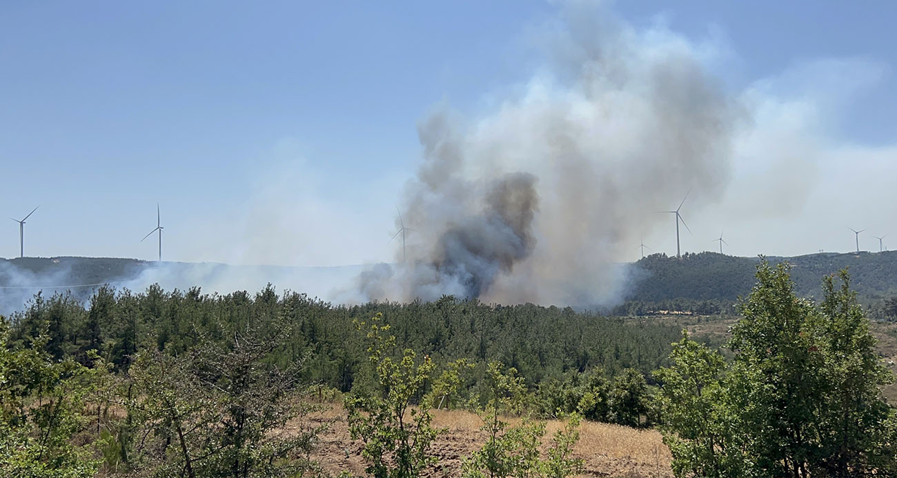 Soğutma çalışmaları başladı!