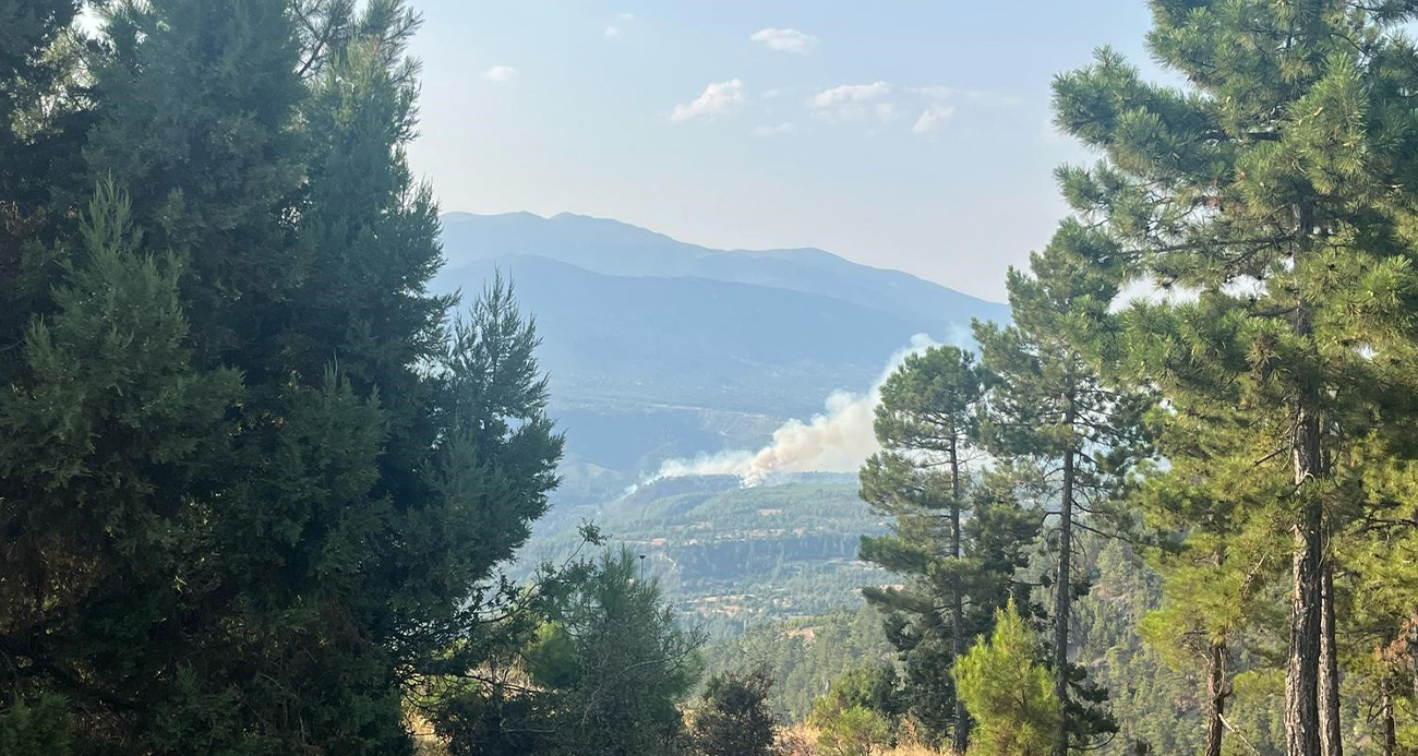 Denizli’de orman yangını