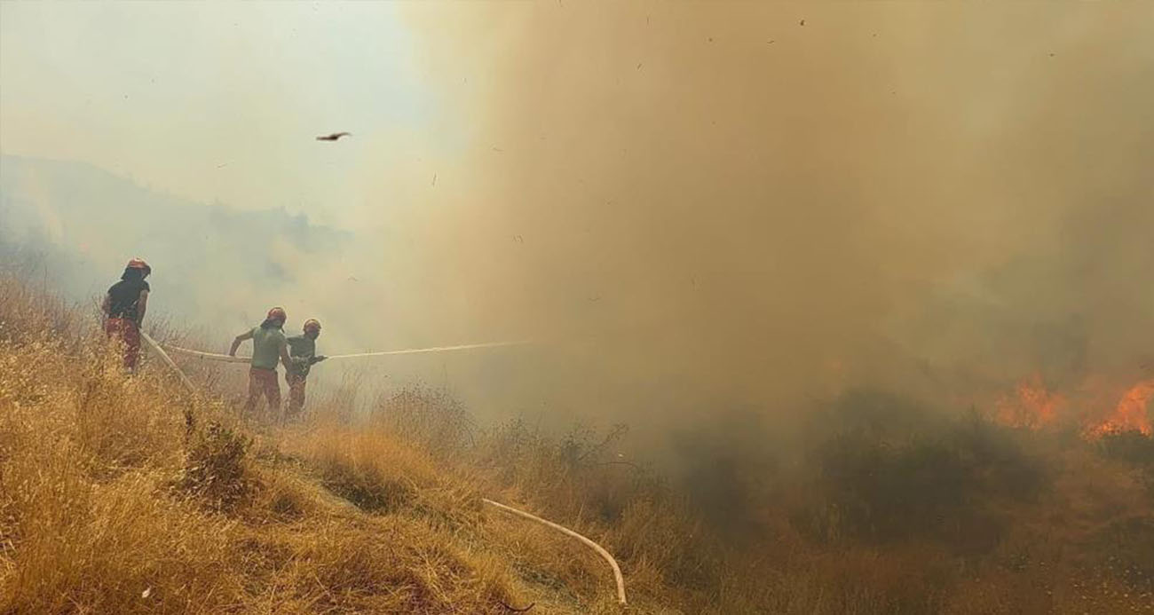 Arnavutluk'ta orman yangını: 1 ölü, 8 yaralı