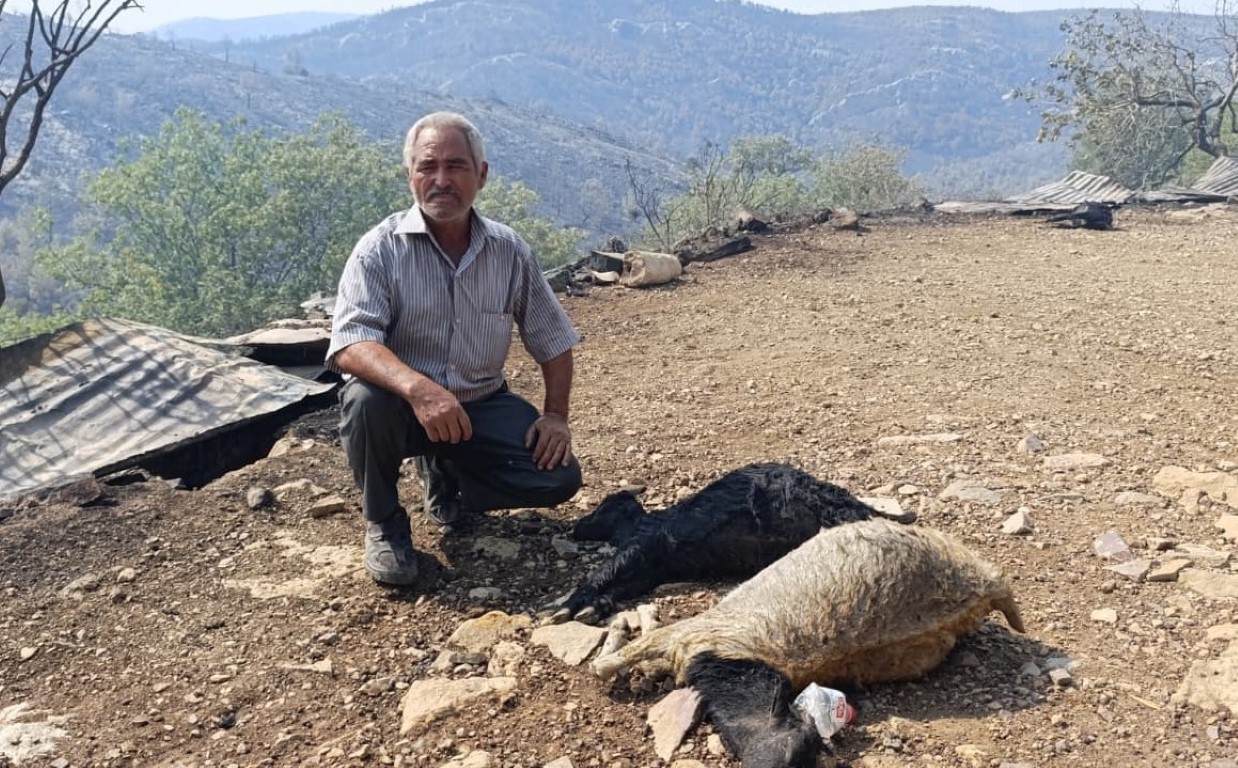 Mersin’de orman yangınında evler yandı, hayvanlar telef oldu