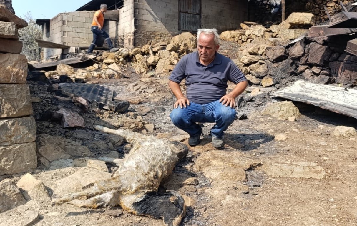 Mersin’de orman yangınında evler yandı, hayvanlar telef oldu