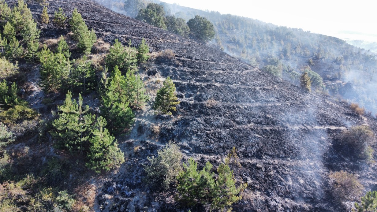 Çorum’daki orman yangını kontrol altına alındı