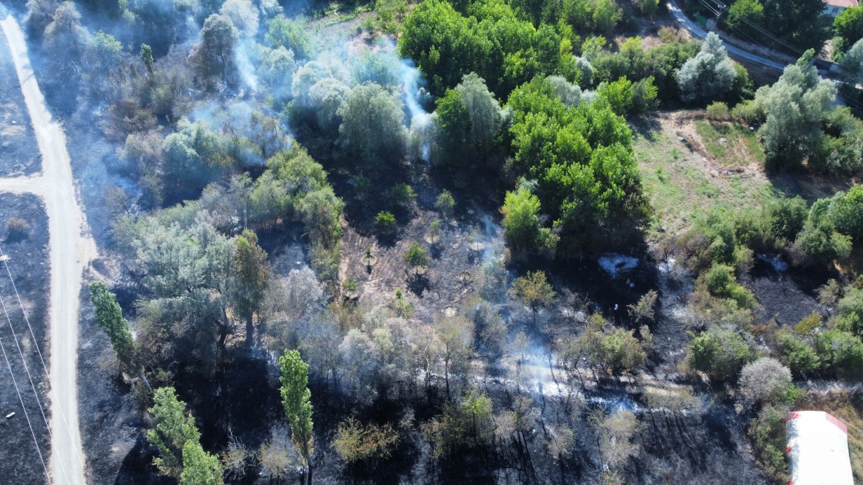Çorum’daki orman yangını kontrol altına alındı