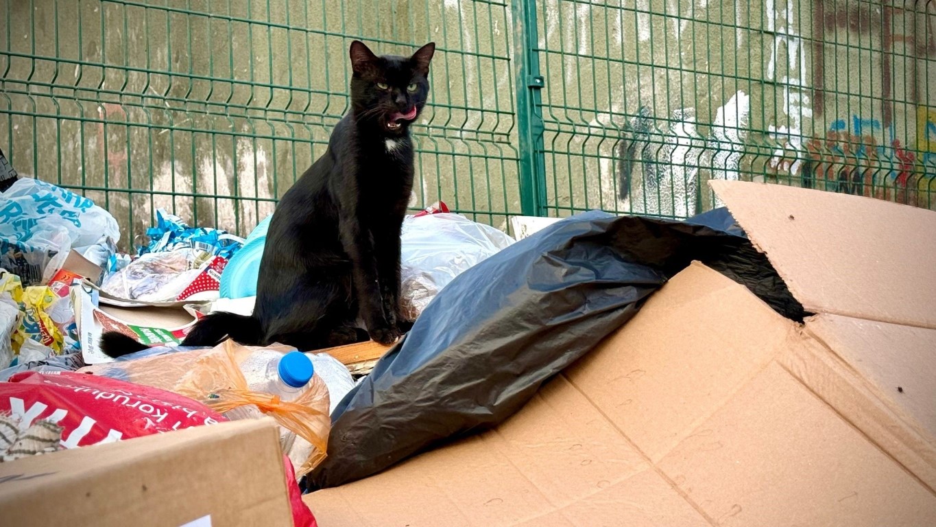 İzmir’den sonra, İzmit de çöplüğe döndü