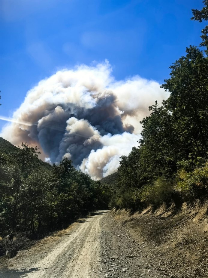 Kocaeli’de ormanı yangını nedeniyle Akçat köyü boşaltılıyor