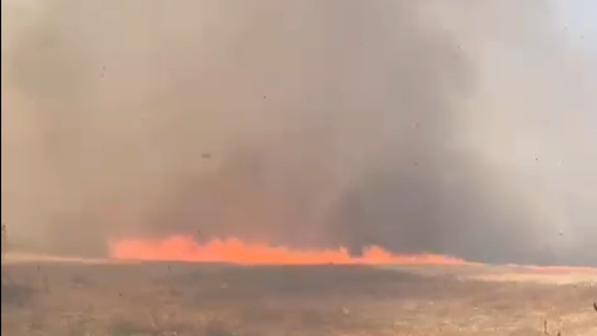 Tekirdağ’da alevler tarla ve ormanı sardı: 10 ev boşaltıldı