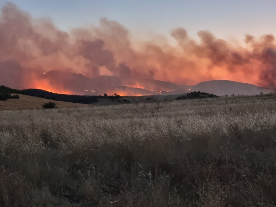 Diyarbakır’ın 3 ilçesinde etkili olan yangına müdahale devam ediyor