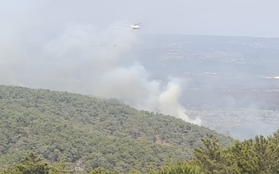 Mersin’de kaynak yaparken orman yangınına neden olan firma sahibi ile 4 kişi tutuklandı
