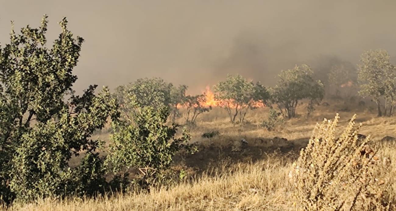 Diyarbakır’ın 3 ilçesinde etkili olan yangına müdahale devam ediyor