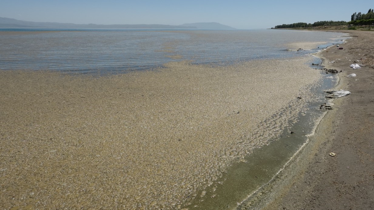 Van Gölü alarm veriyor