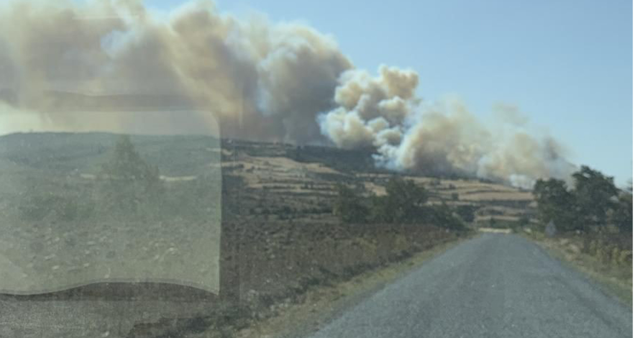 Gelibolu’da orman yangını!