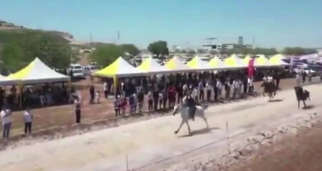 Gaziantep’te attan düşen AK Partili eski ilçe başkanı ağır yaralandı