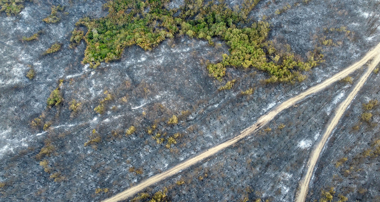 Gelibolu’da büyük ölçüde kontrol altına alınan orman yangınında yanan yerler dronla görüntülendi