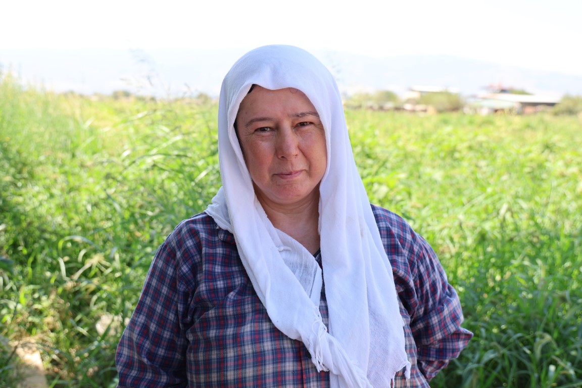 Domates işçileri çöl sıcaklarında saati 250 TL’ye ter döküyor