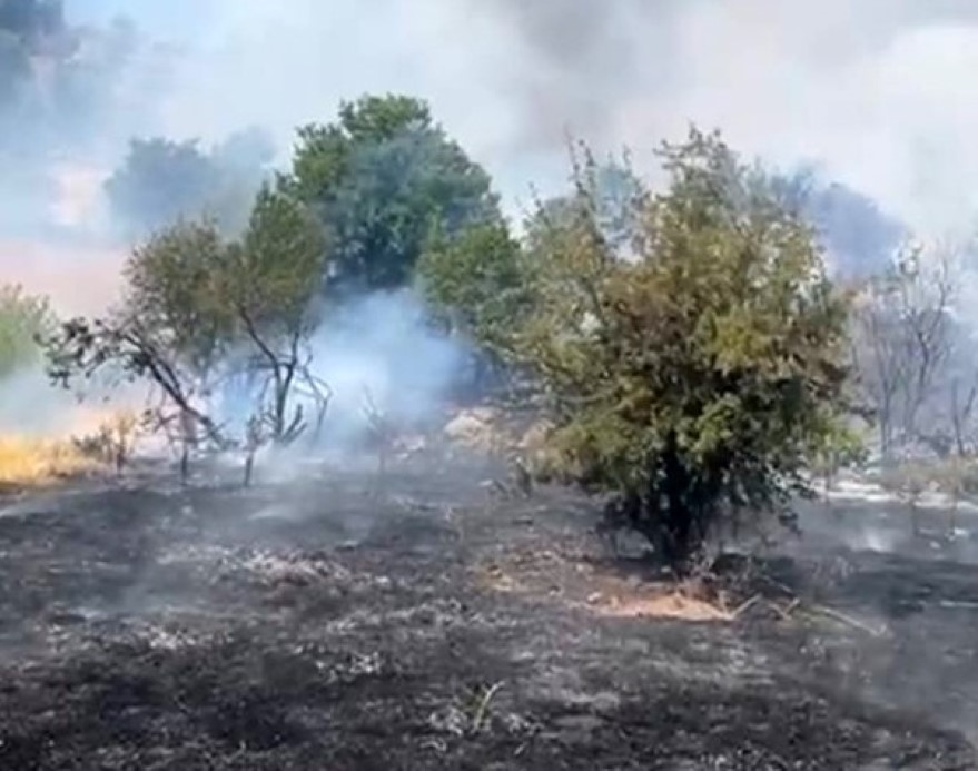 Malatya’da orman yangını: Müdahale sürüyor