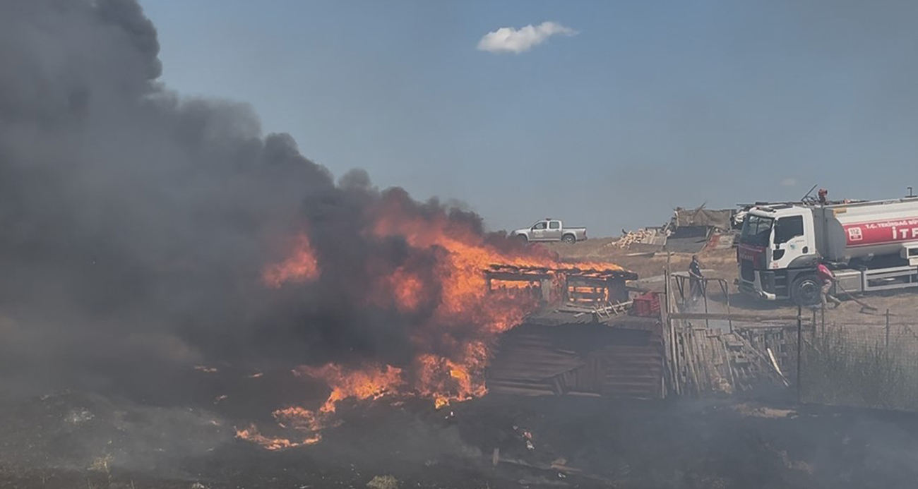 Tekirdağ’da besi çiftliğinde yangın