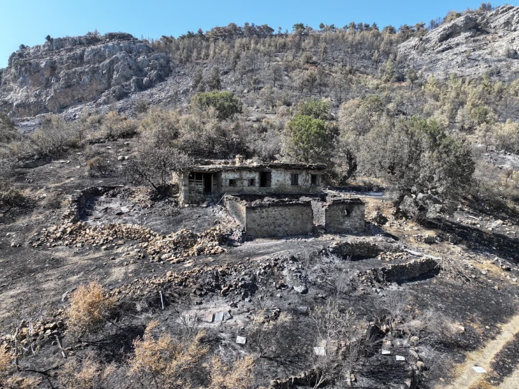 Orman yangınından geriye kalan acı manzara: 15 bin dönümden fazla alan küle döndü