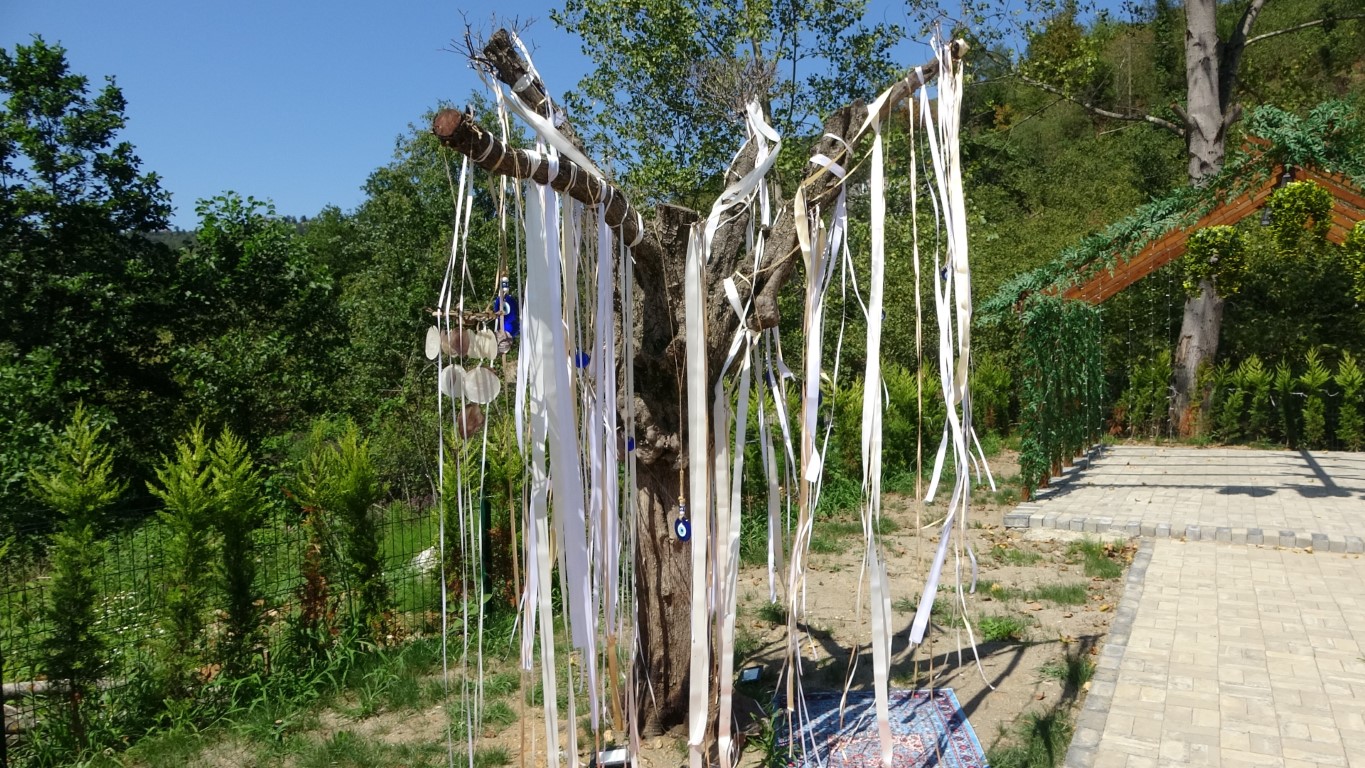Kafa kafaya verdiler, Doğu Karadeniz’in en büyük fotoğraf çekim platosunu kurdular