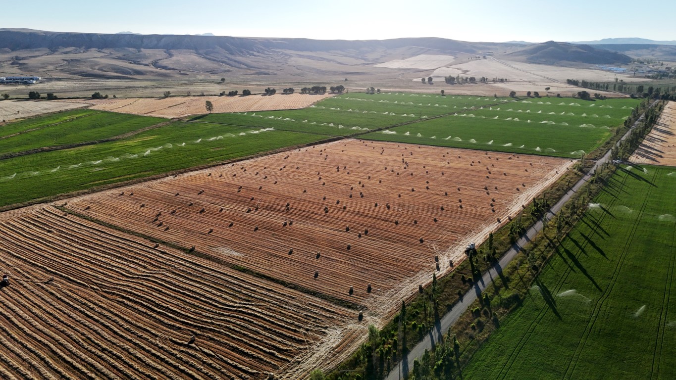 Görüntüsüyle kartpostalları andırıyor, 7 bin dekar alanda çalışmalar sürüyor