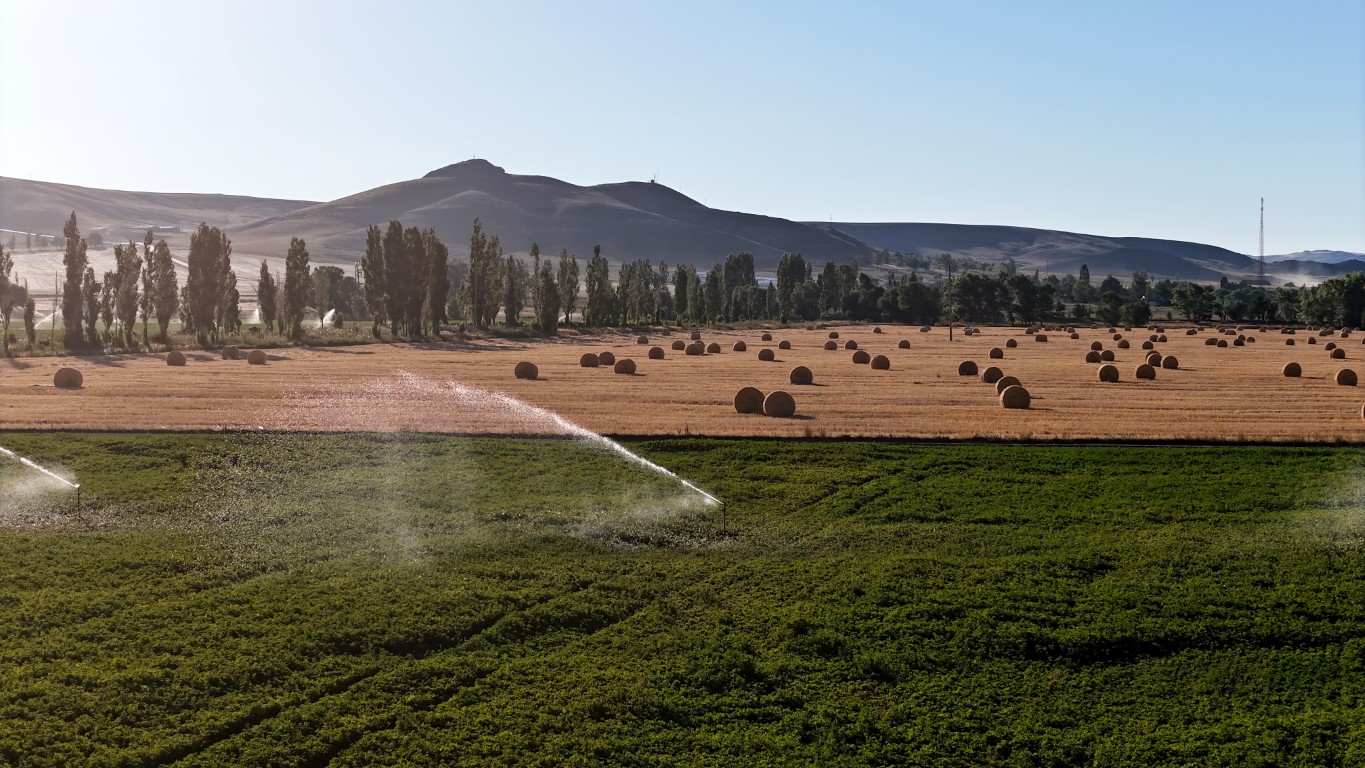 Görüntüsüyle kartpostalları andırıyor, 7 bin dekar alanda çalışmalar sürüyor