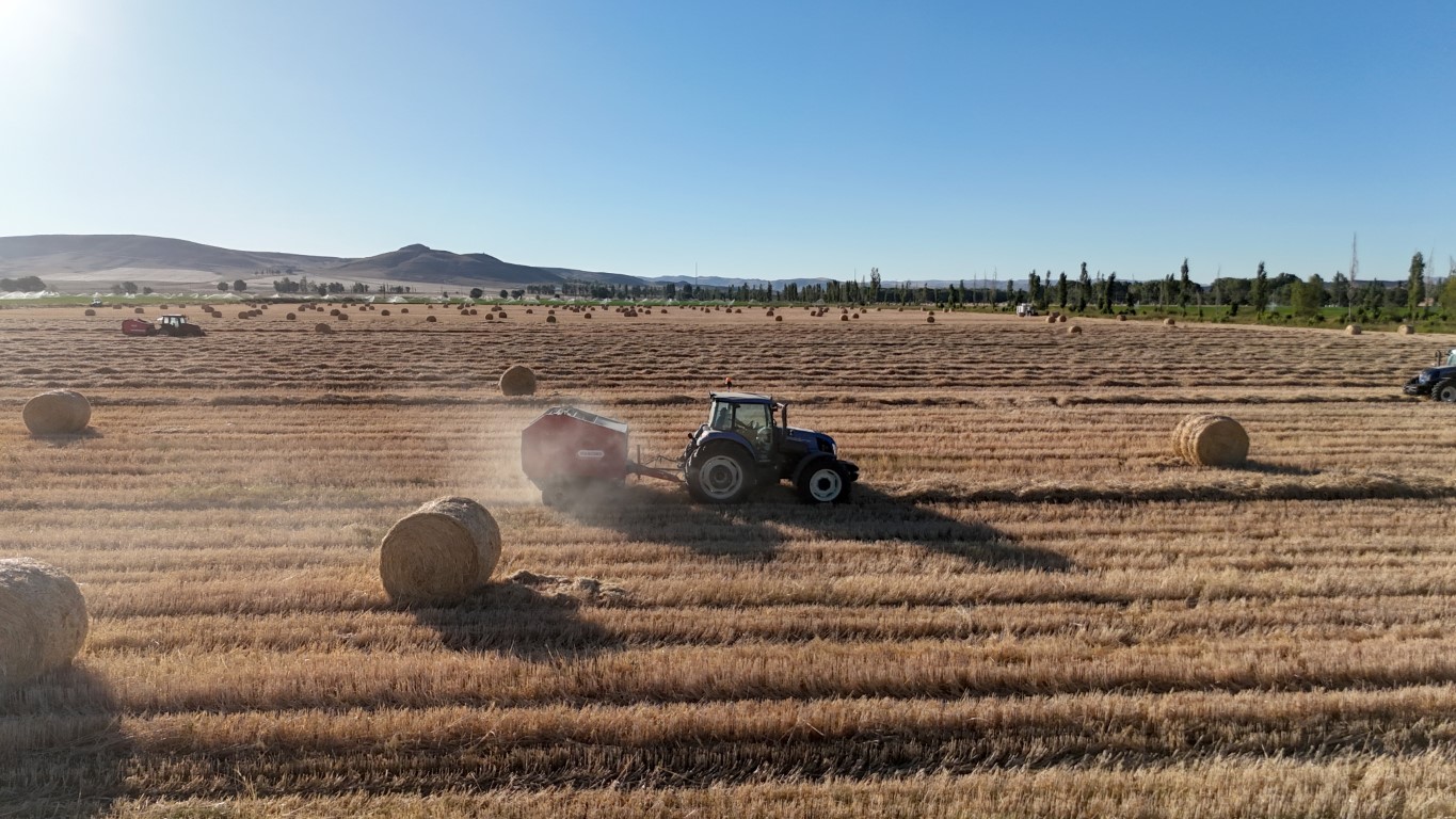 Görüntüsüyle kartpostalları andırıyor, 7 bin dekar alanda çalışmalar sürüyor