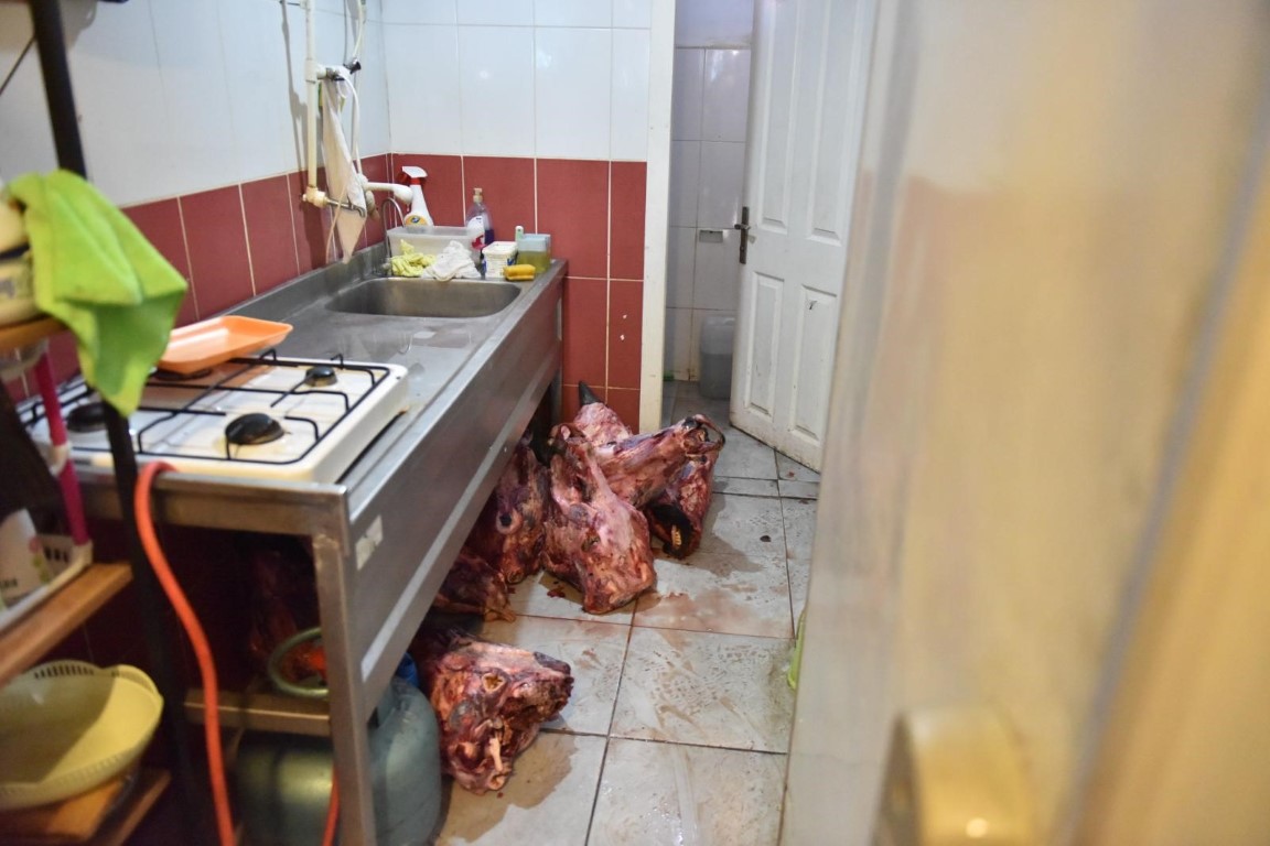 Yumurta paketinden hamam böceği yumurtaları çıktı, yapılan denetimden çıkanlar şoke etti