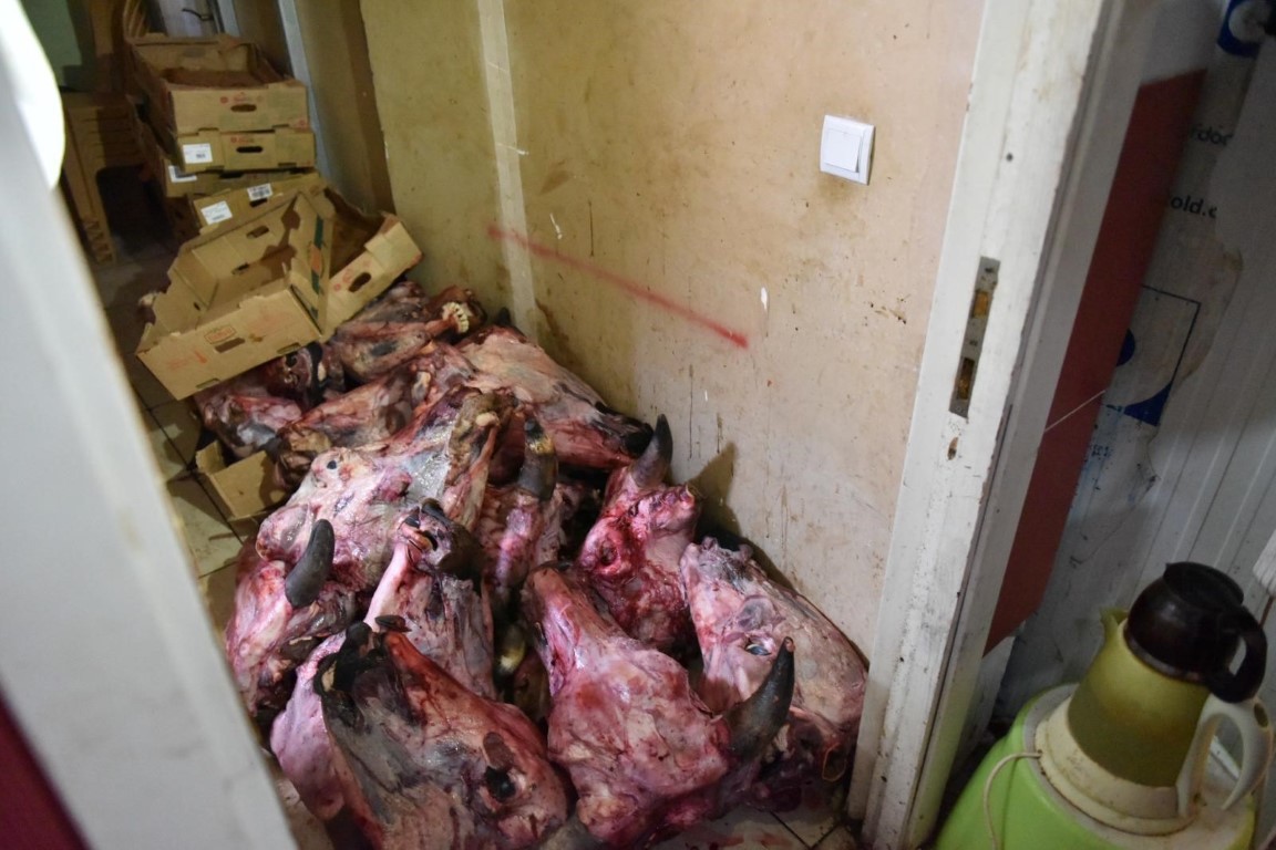 Yumurta paketinden hamam böceği yumurtaları çıktı, yapılan denetimden çıkanlar şoke etti