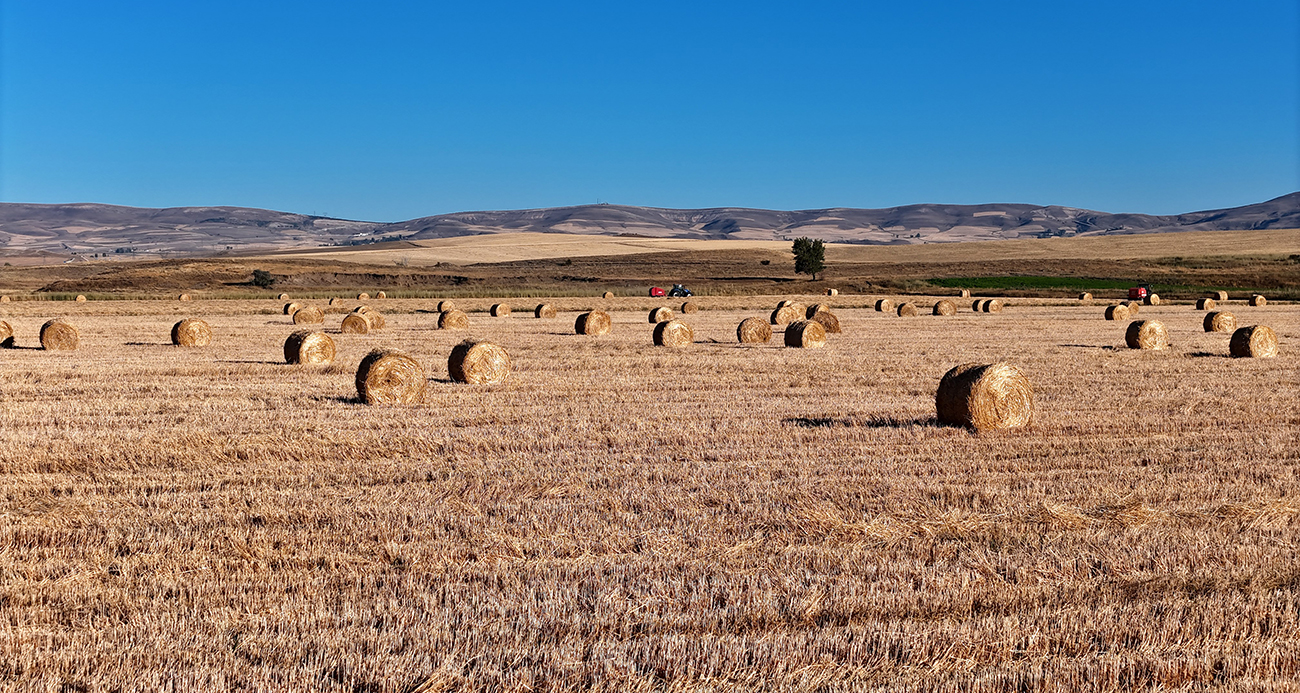 Görüntüsüyle kartpostalları andırıyor