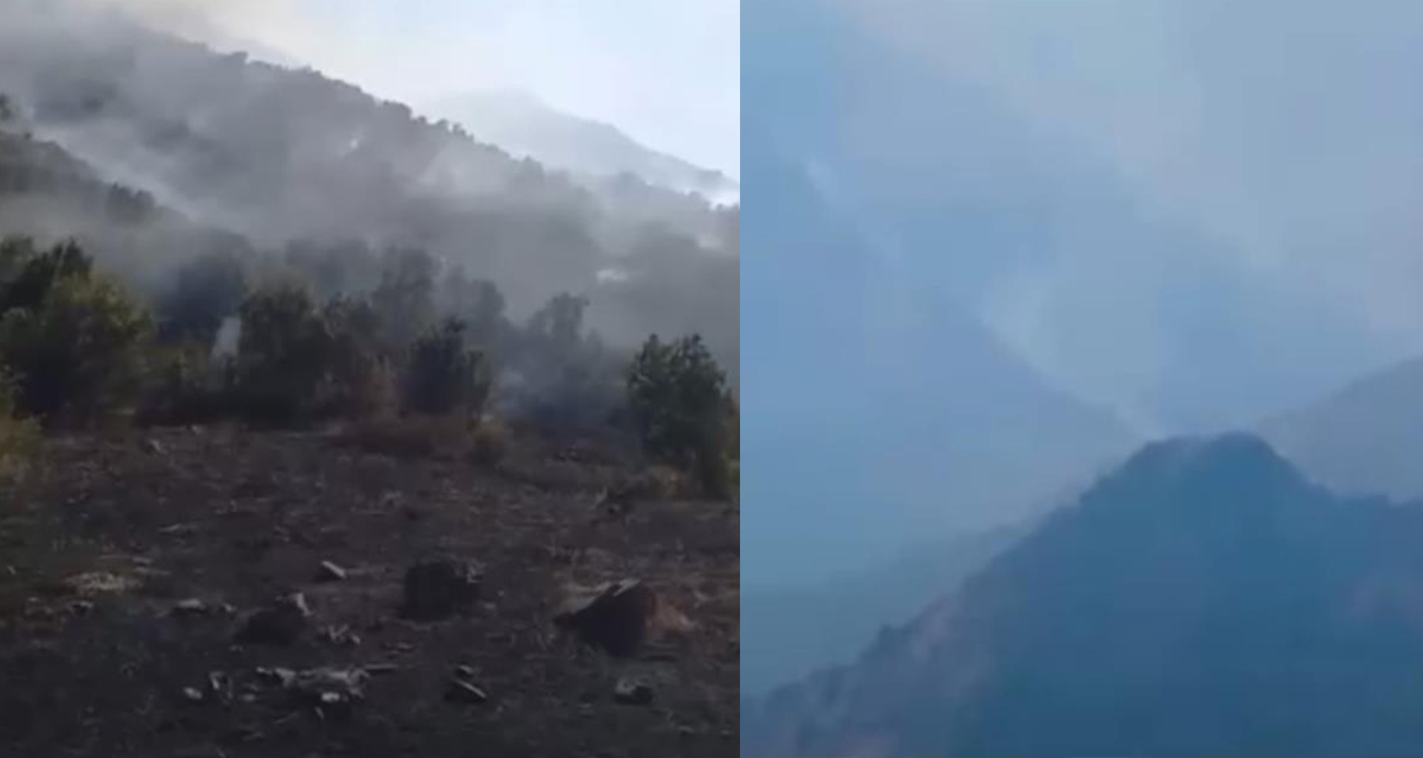 Yüksekova Dağlıca köyünde orman yangını