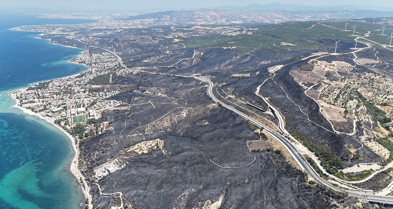 Çanakkale’de yaşanan 4 büyük yangında 5 bin 236 hektar ormanlık alan yandı