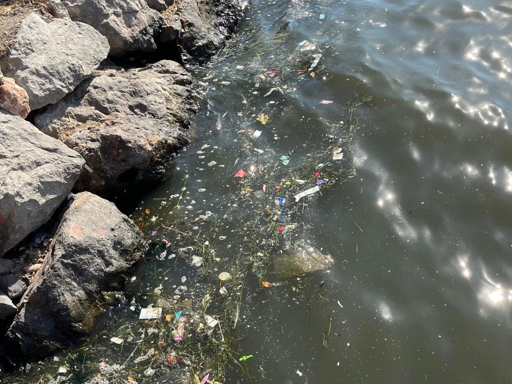 Körfezden gelen kötü koku İzmir’i sardı