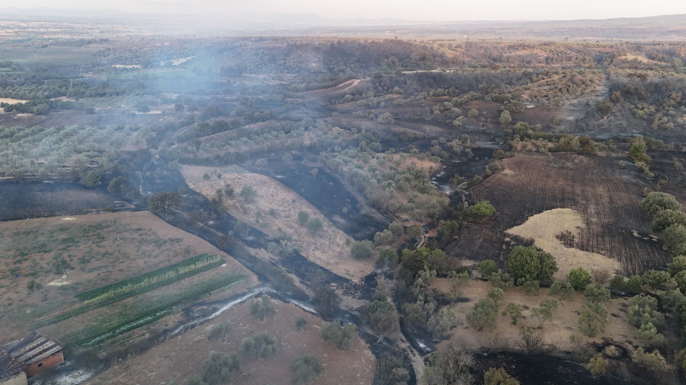 Çanakkale’de yaşanan 4 büyük yangında 5 bin 236 hektar ormanlık alan yandı