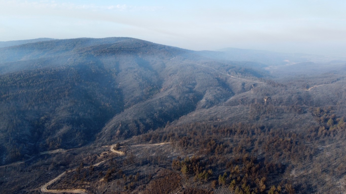 Çanakkale’de yaşanan 4 büyük yangında 5 bin 236 hektar ormanlık alan yandı
